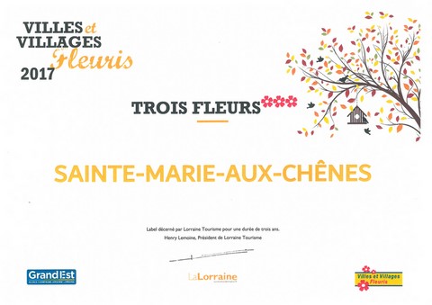 Diplôme de la 3ème fleur