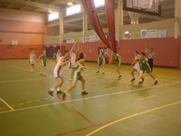 Basket